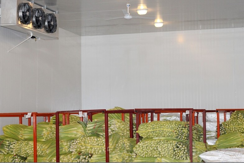 冷藏保鮮冷庫建筑特點(diǎn)(圖1)