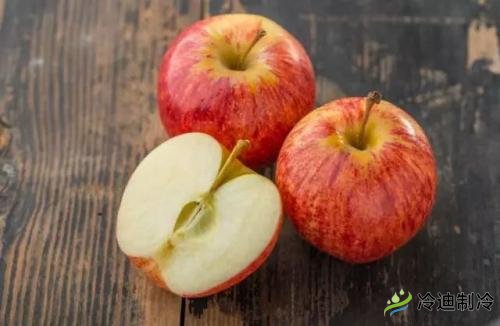 蘋果冷庫(kù)儲(chǔ)藏特點(diǎn)，保鮮冷庫(kù)造價(jià)及影響因素(圖1)