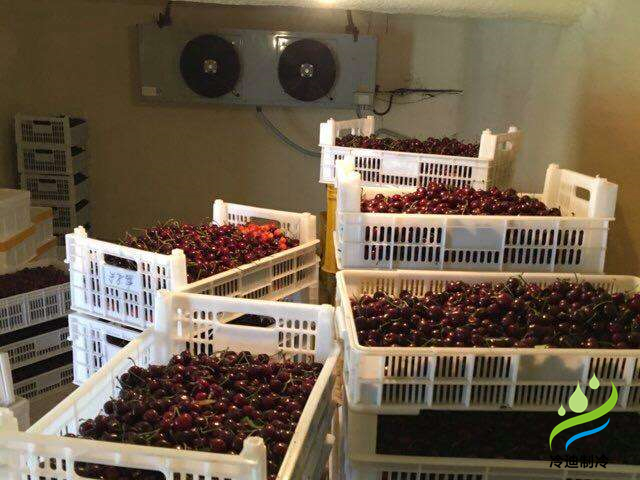 建設(shè)50噸車厘子保鮮氣調(diào)冷庫造價多少錢？