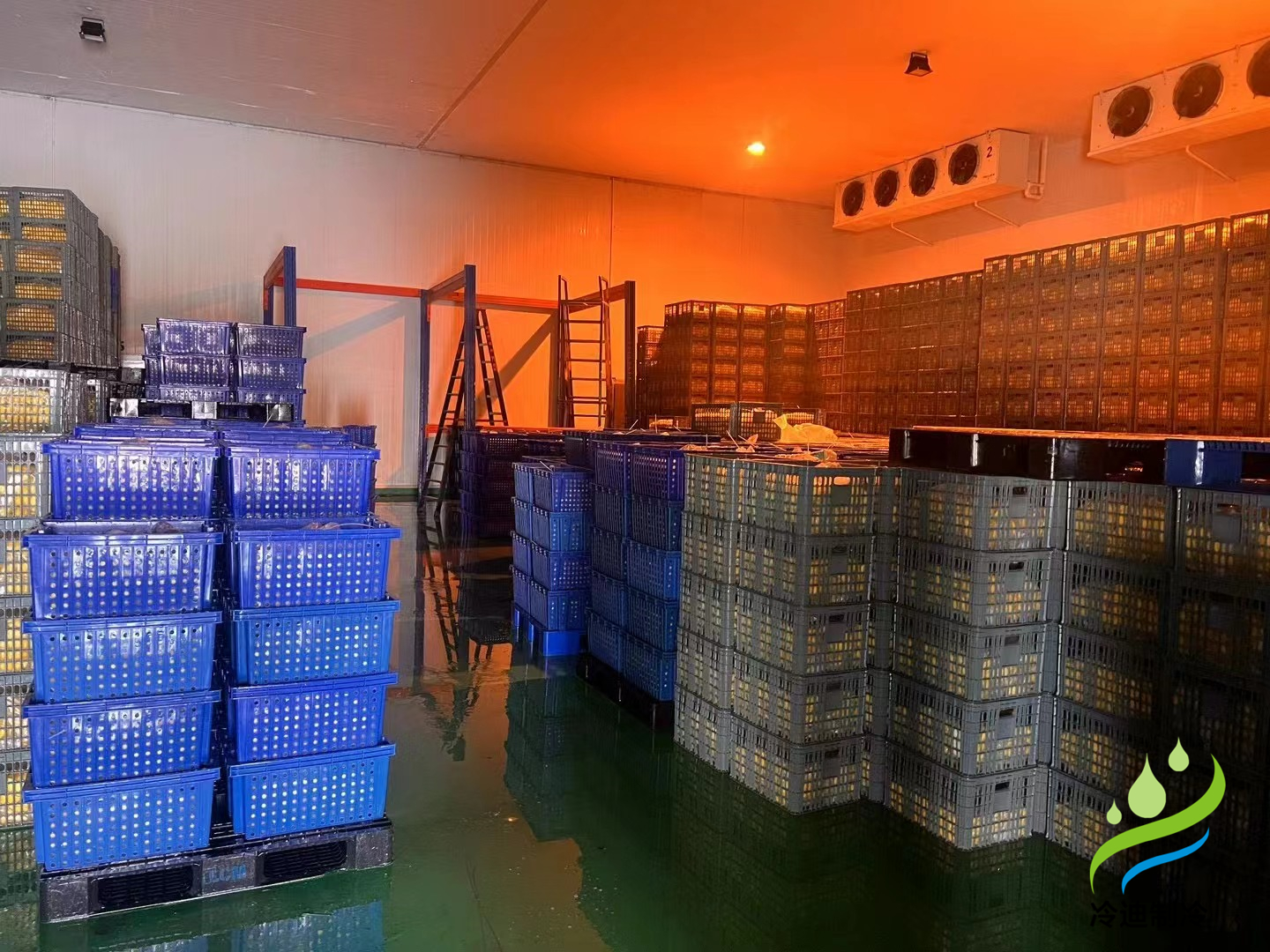 建造生鮮冷庫(kù)造價(jià)多少一立方？