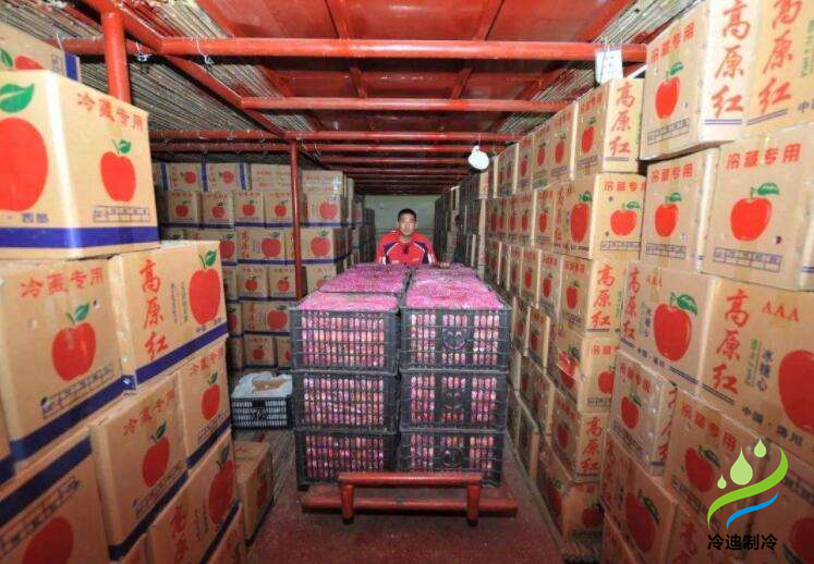 安裝一個(gè)蘋果保鮮冷庫大概多少錢？