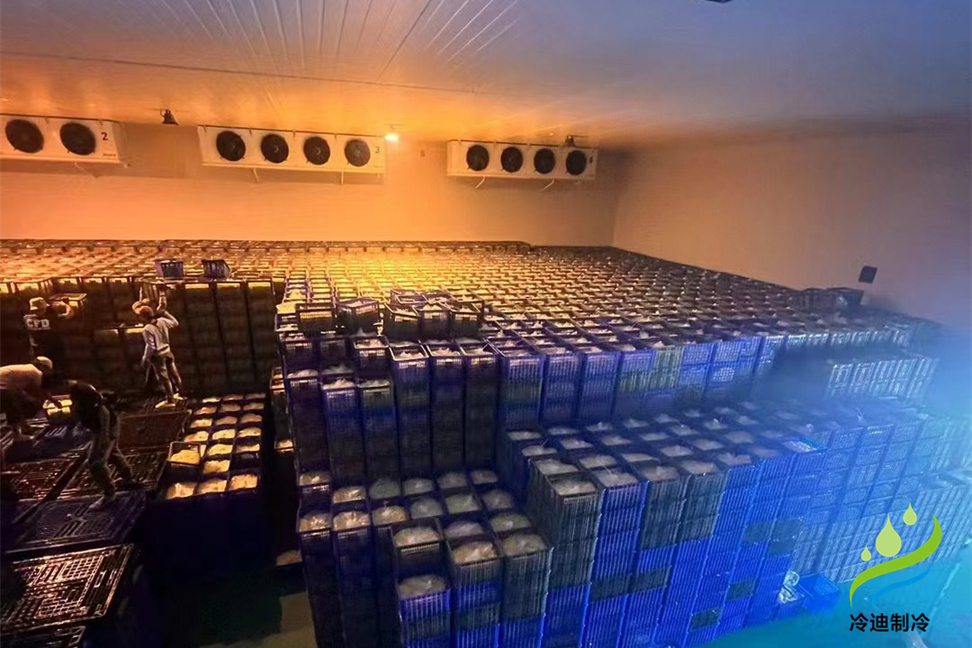 1000立方冷庫(kù)可以存多少噸？用多大制冷設(shè)備？