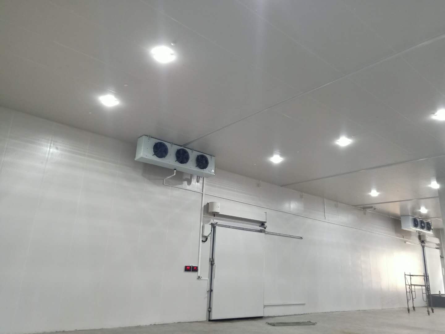 黃瓜冷庫(kù)如何儲(chǔ)存，建造300平多少錢(qián)？(圖1)