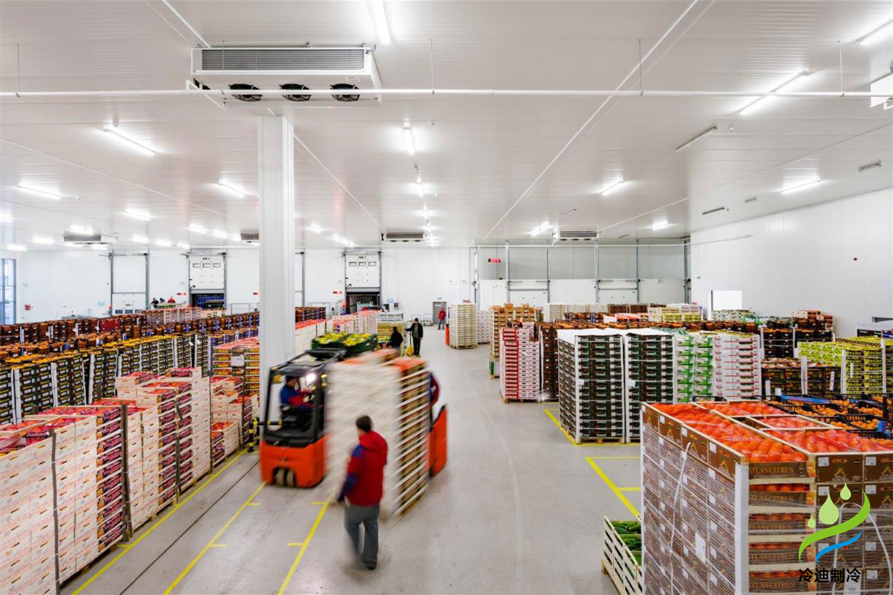 建設(shè)冷庫造價正常多少錢一平方米？