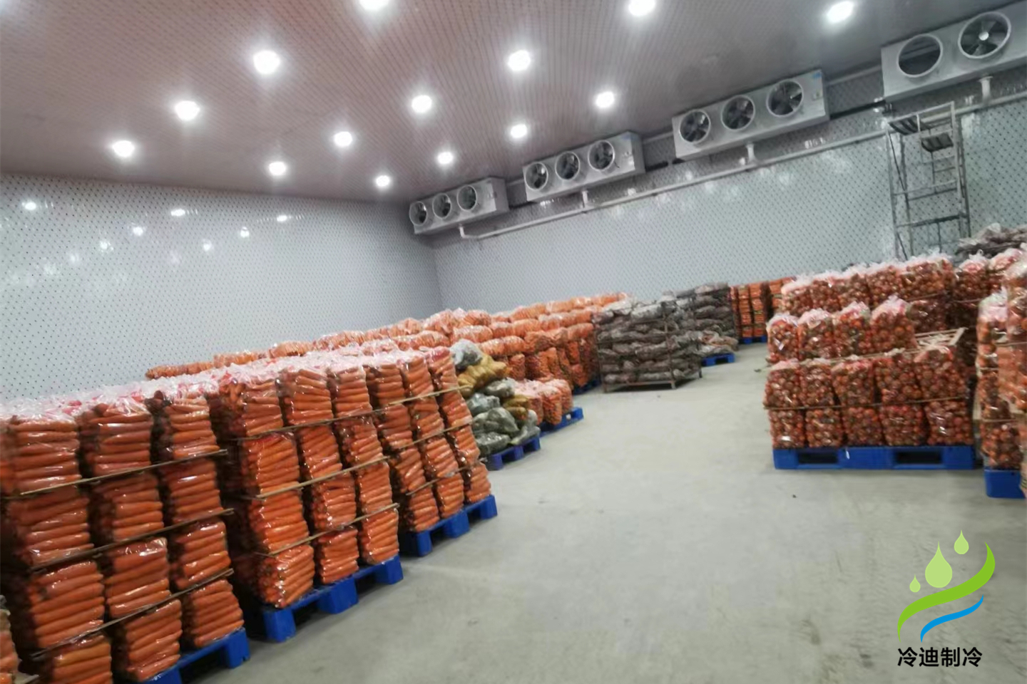 建造一個(gè)西瓜冷庫(kù)需要多少錢(qián)?(圖2)