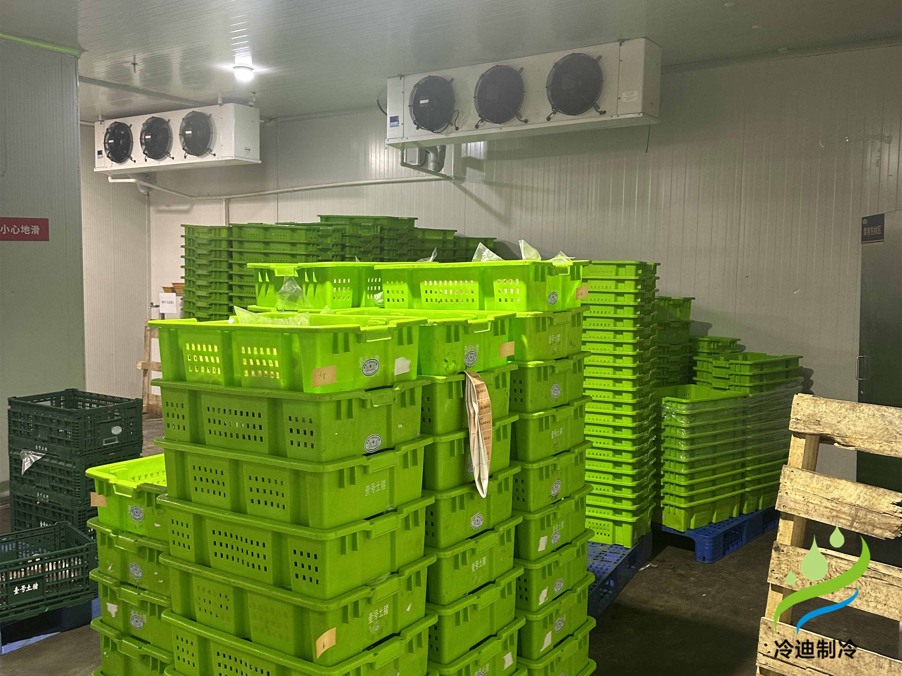 江蘇壹號食品1400立方食品冷庫